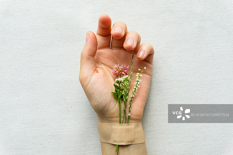 花卉和药草，用医用胶布粘在女孩或女人的手上，白色和浅色背景。替代医学和保健、顺势疗法的概念。疾病的替代治疗和预防。图片素材