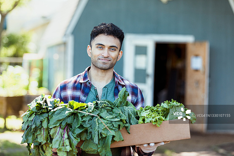 男人摆姿势，手拿从花园采摘的绿叶蔬菜图片素材