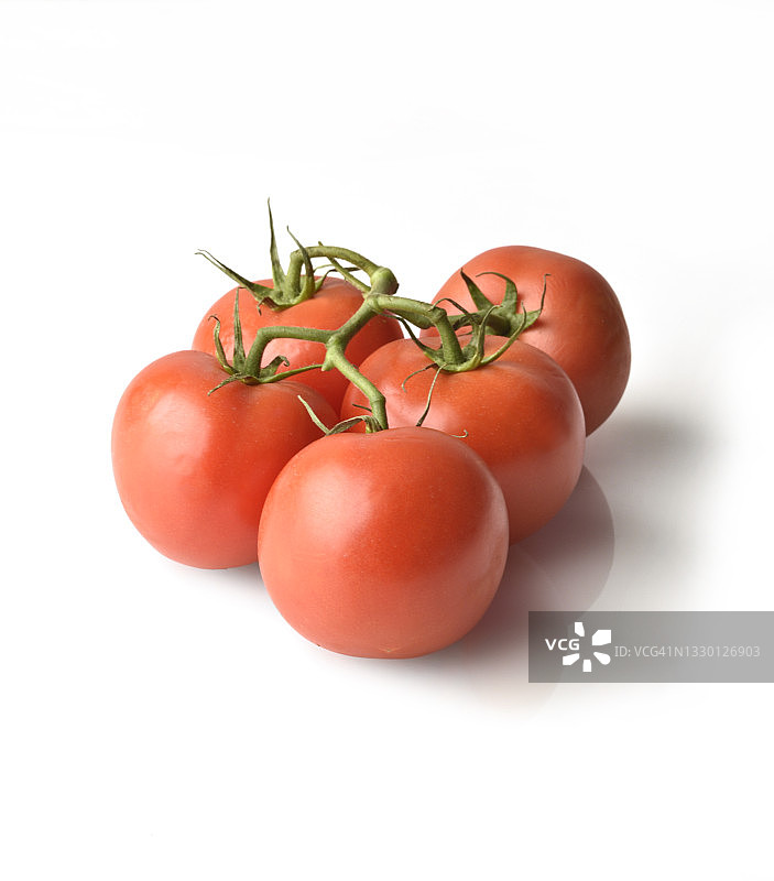 藤上的西红柿图片素材