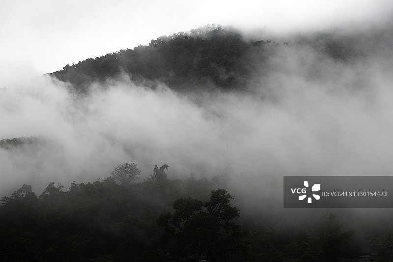 泰国帕尧府富朗卡山雾中森林图片素材