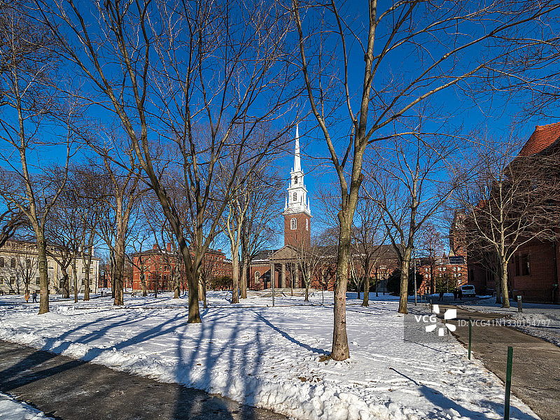 冬季哈佛大学校园雪景图片素材