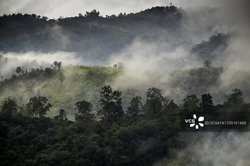 泰国北部帕尧府富朗卡绿色森林和雾气图片素材