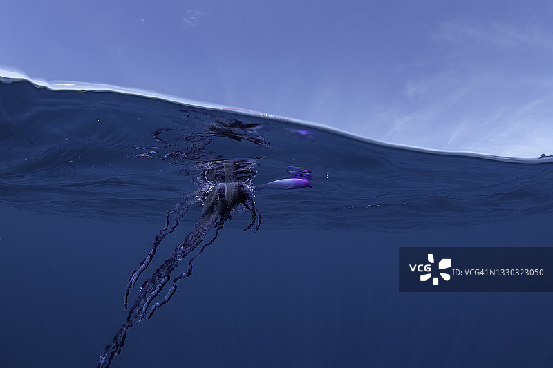 大西洋亚速尔群岛的葡萄牙战舰分隔画面图片素材