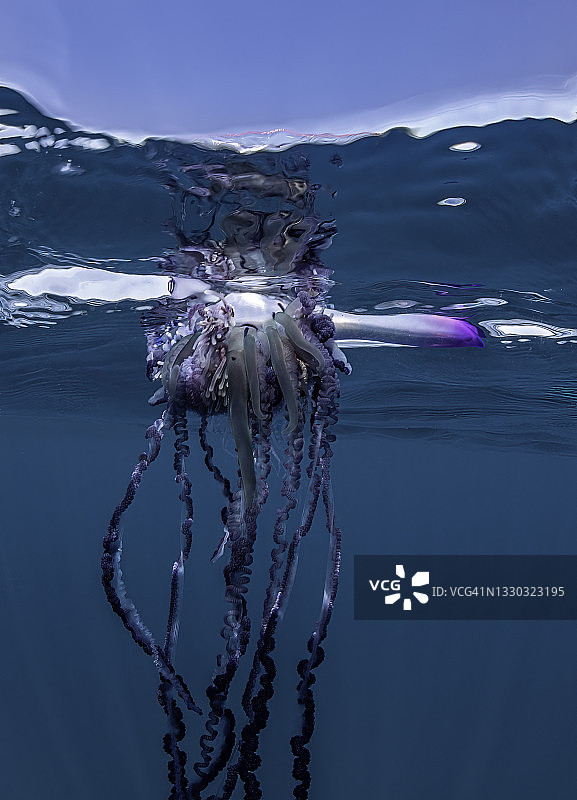 大西洋亚速尔群岛的葡萄牙战舰分隔画面图片素材