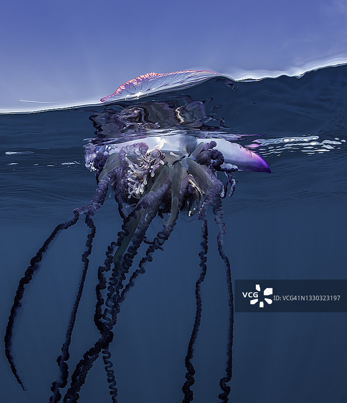 大西洋亚速尔群岛的葡萄牙战舰分隔画面图片素材