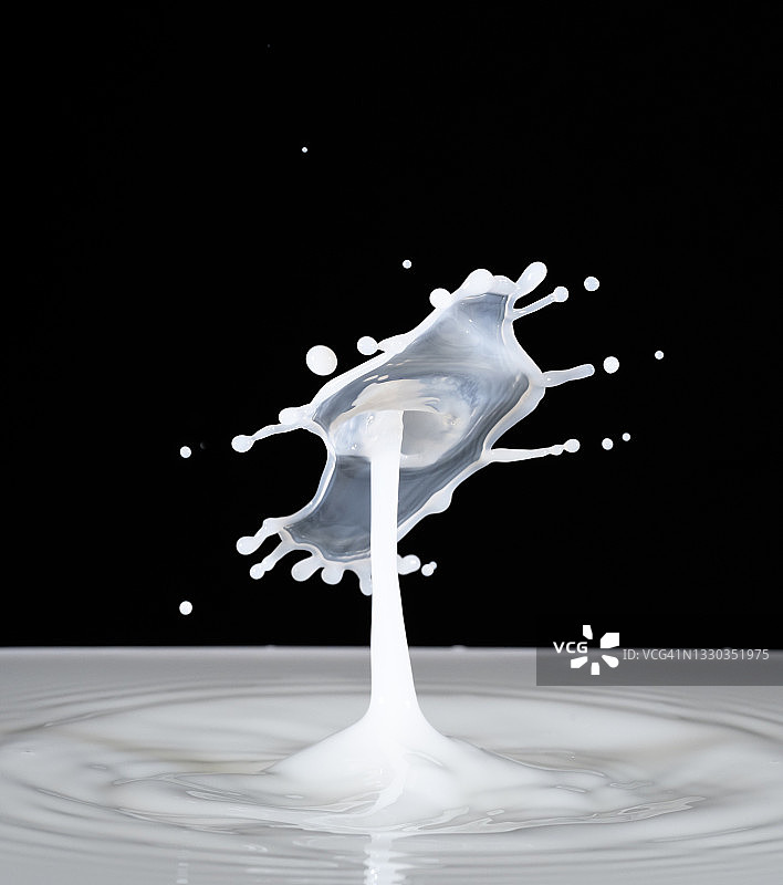 黑色背景上的牛奶滴碰撞（水蘑菇）图片素材