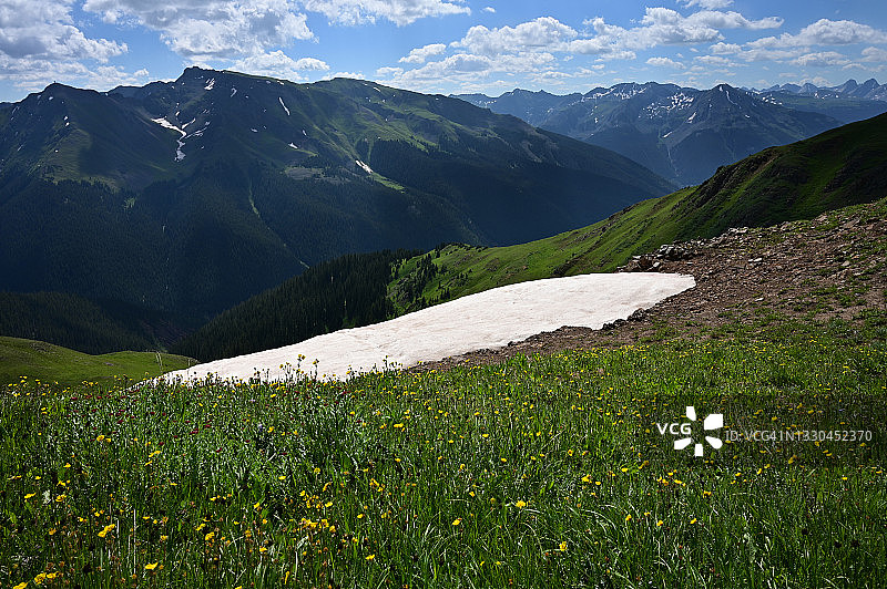 雪山山脉旁生长的野花图片素材