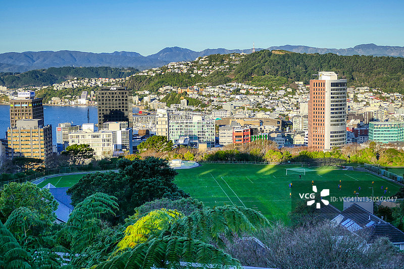 惠灵顿图片素材