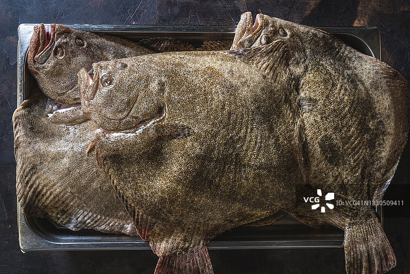 菱鲆，托盘中的四条鱼图片素材