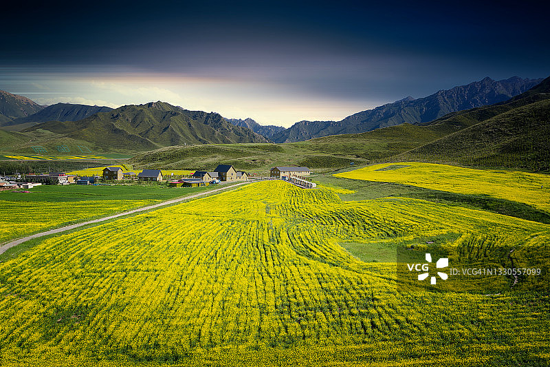 山下的花海图片素材
