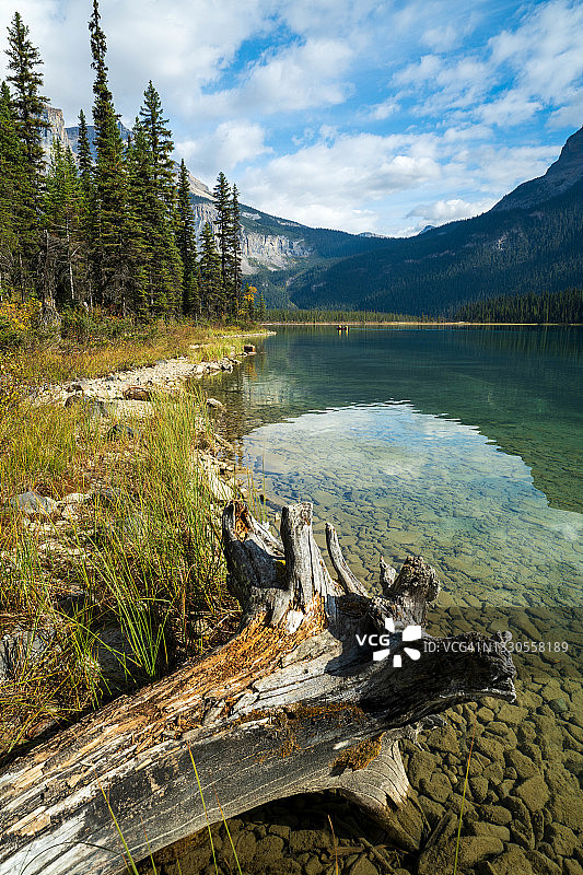 加拿大落基山脉幽鹤国家公园奥哈拉湖图片素材