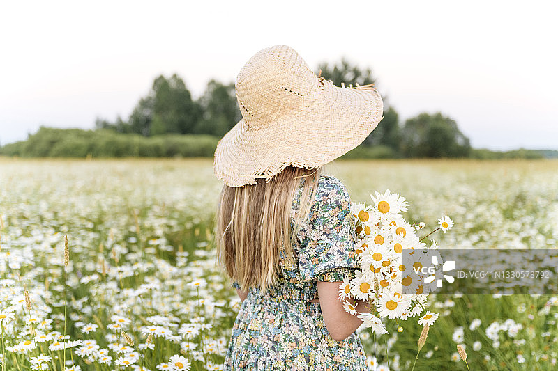 戴帽女孩在田野里手捧洋甘菊图片素材