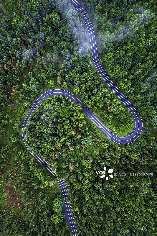 绿色森林中的山路鸟瞰图图片素材
