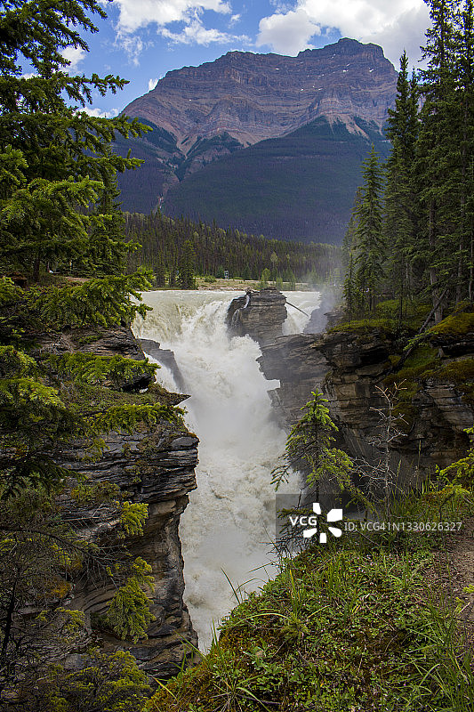 加拿大艾伯塔省贾斯珀国家公园的阿萨巴斯卡瀑布图片素材