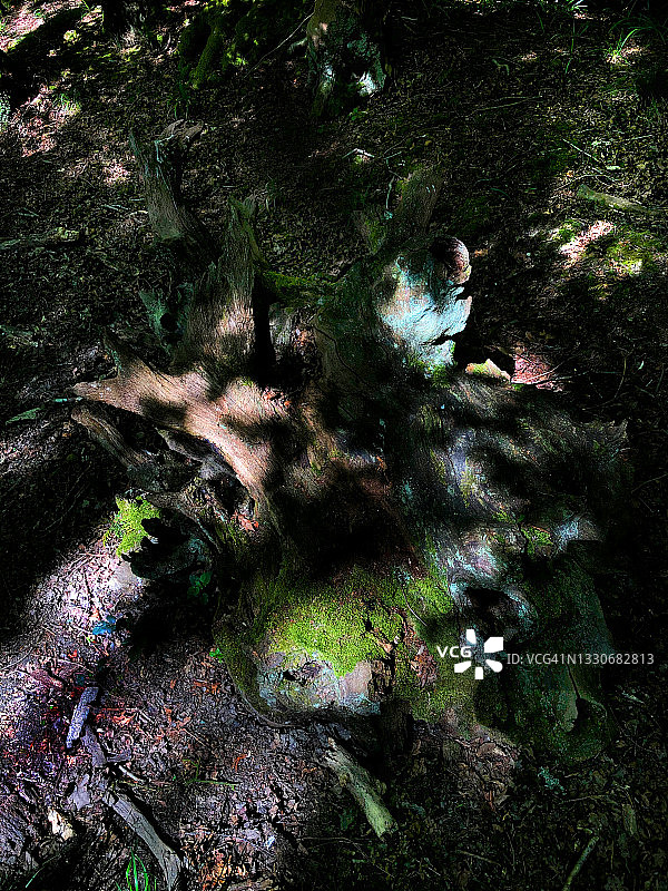 抽象斑点图片素材