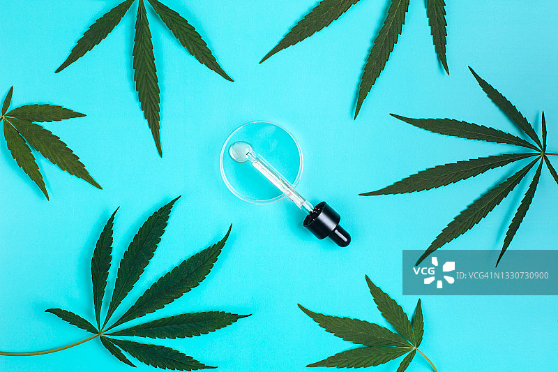 培养皿中含玻璃移液管的CBD油和大麻叶图片素材