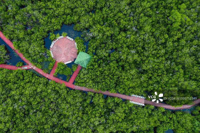 森林上方的木桥航拍景观图片素材