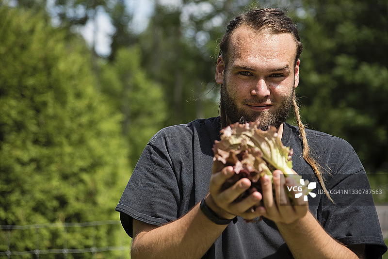 在永续花园里收获生菜的年轻人图片素材