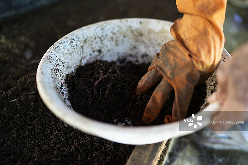 手持蚯蚓粪有机肥图片素材
