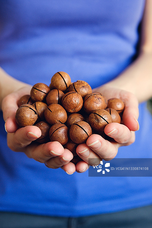 女人手中拿着有机澳洲坚果特写。女孩手掌上的带壳澳洲坚果。素食、纯素食和生食以及饮食的概念。健康饮食的话题。健康的植物脂肪。图片素材