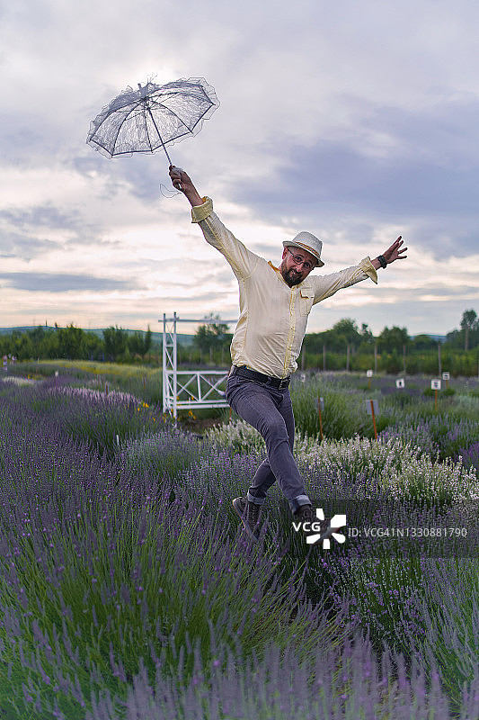 在薰衣草田里跳跃的人的背影图片素材