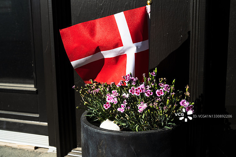丹麦国旗和盆栽植物图片素材