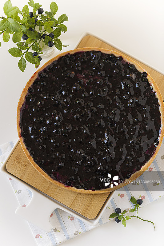 野生蓝莓派图片素材