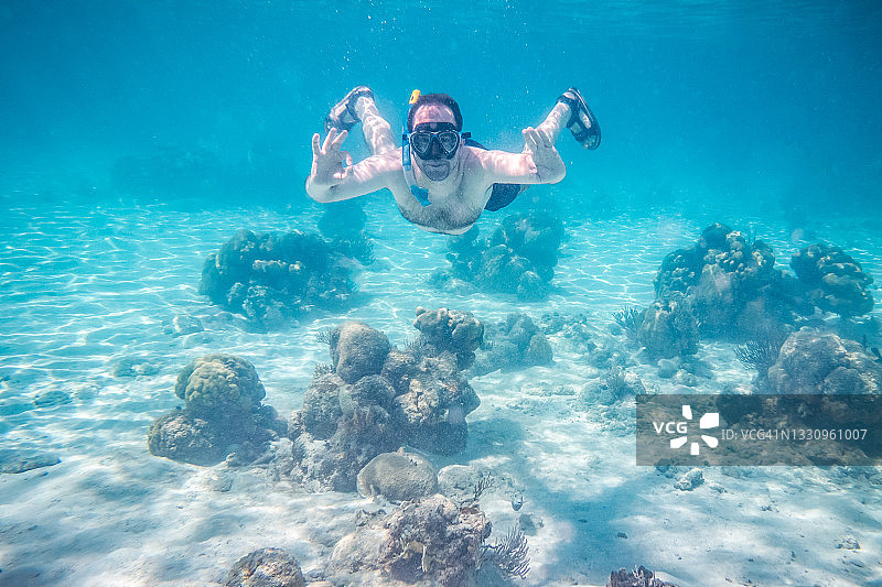 在加勒比海地区古巴浮潜图片素材