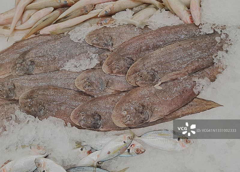 鱼市冰架上的新鲜舌鳎鱼或比目鱼图片素材
