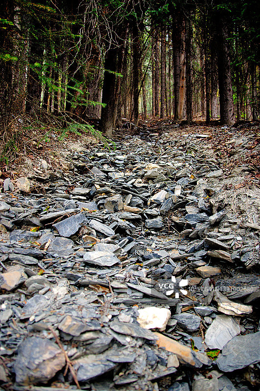 落基山脉的干涸河床图片素材