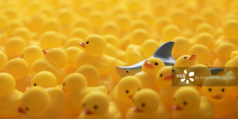 追逐黄色小鸭的橡皮筋图片素材
