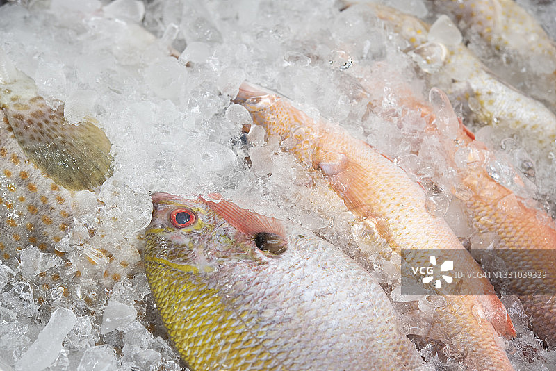 新鲜海鲜图片素材