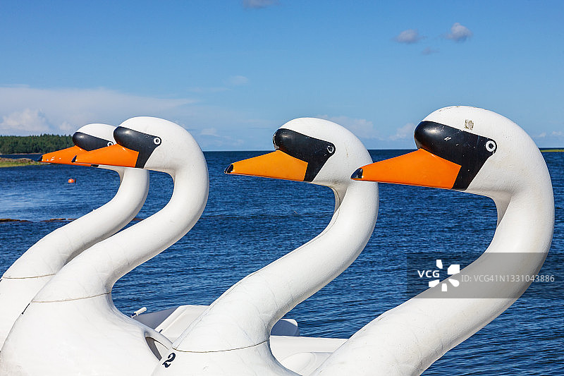 湖上的天鹅脚踏船图片素材