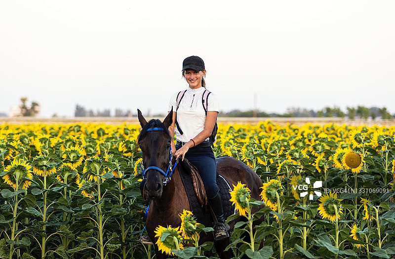 向日葵花田骑马图片素材