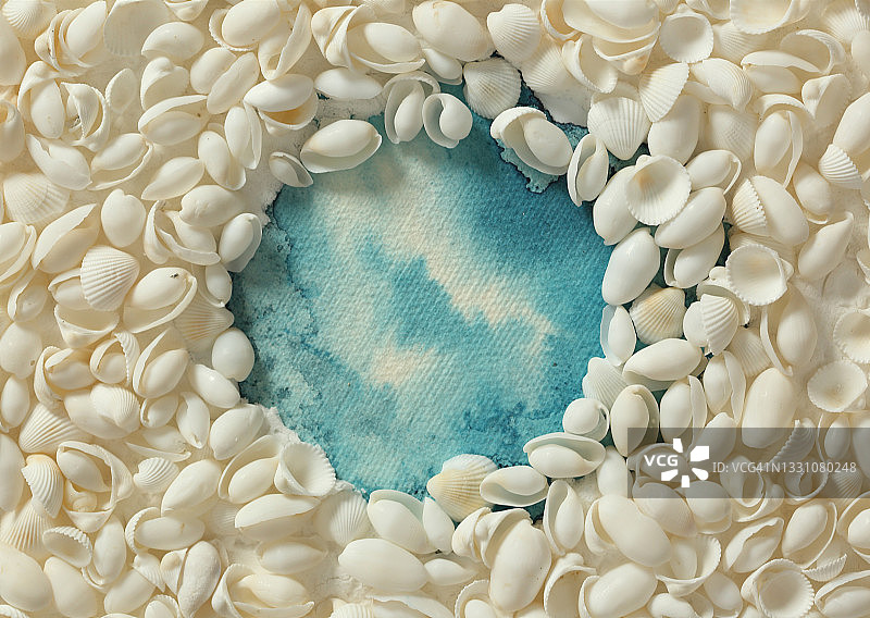 水彩背景上的贝壳图片素材