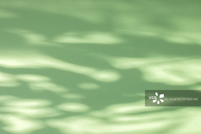 树枝和树叶在绿色纸背景上的阴影，文本留白，顶部视图图片素材