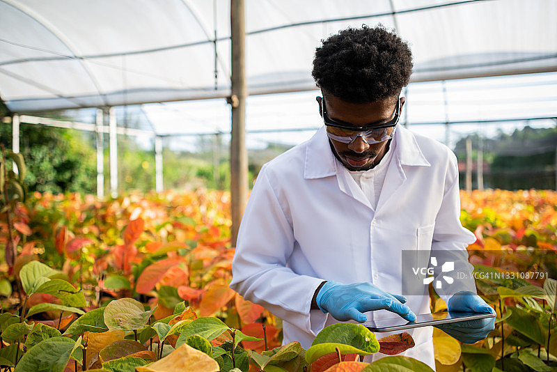 植物科学分析图片素材