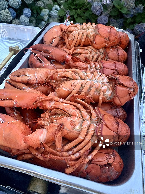 煮熟的龙虾图片素材