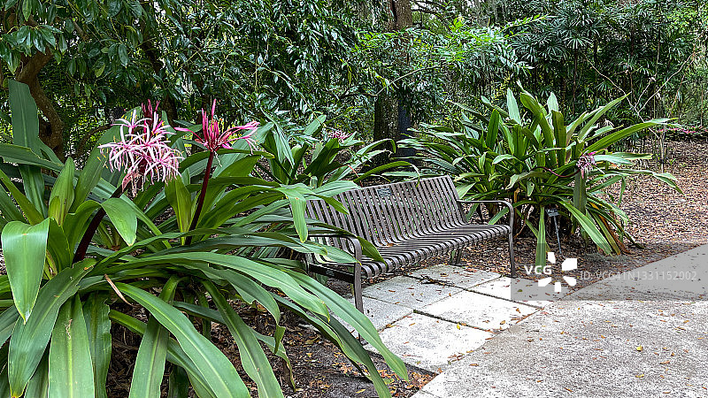 佛罗里达植物园里被花草环绕的金属长椅图片素材