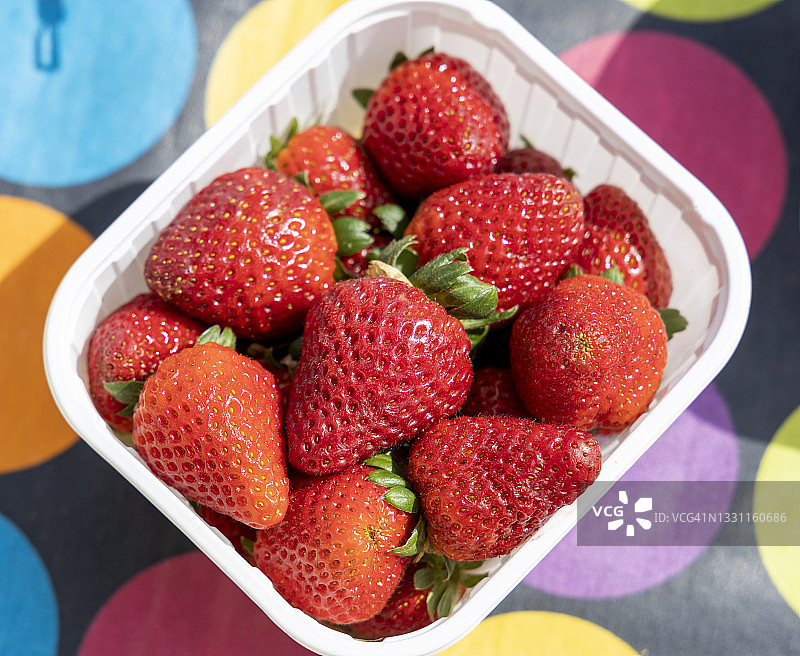 待食草莓图片素材