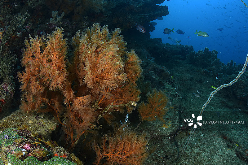岩石礁图片素材