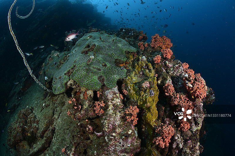 岩石礁图片素材