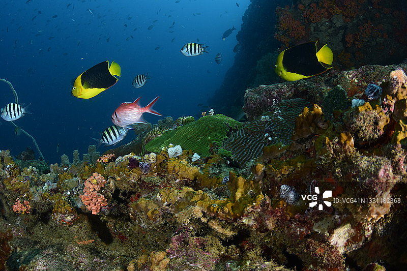 岩石礁图片素材