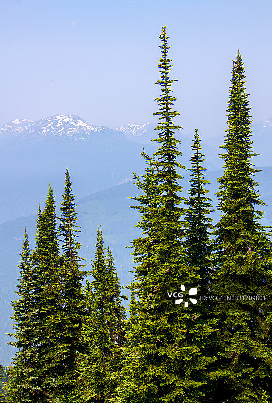 加拿大不列颠哥伦比亚省的雷夫尔斯托克山国家公园图片素材
