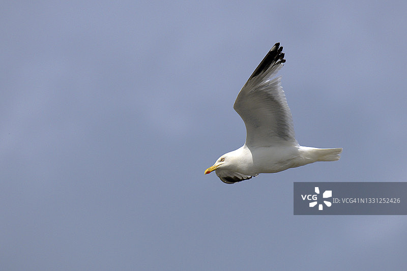 2021年7月28日星期三上午11点21分在英格兰泰晤士河口赫恩湾中央游行道123-135号凯恩游乐场前8米高度拍摄的照片图片素材