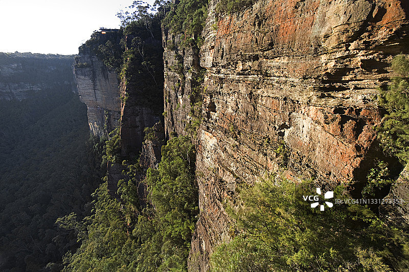 丛林上方的大型橙灰色悬崖图片素材