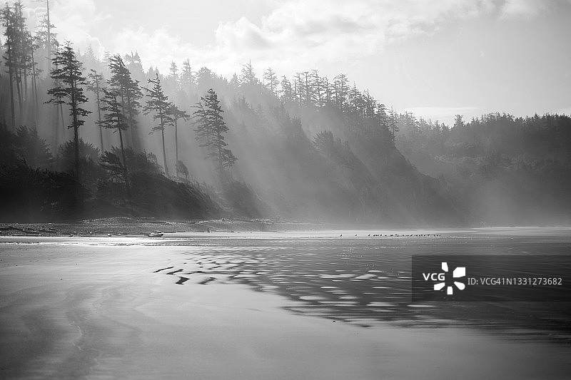 俄勒冈州埃科拉州立公园的风景图片图片素材