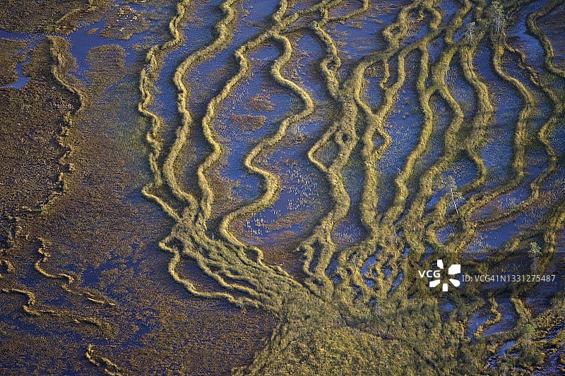 芬兰奥兰卡国家公园北部的沼泽或泥潭图片素材