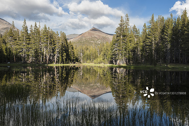 美国加州优胜美地国家公园吉布斯山在森林池塘中的倒影图片素材
