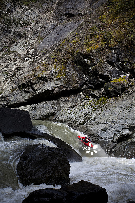 一位白水皮划艇运动员在常绿树峡谷的危险河流上图片素材